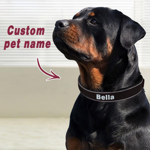 Custom Engraved Pet Collar Nylon Collar Black-White Word