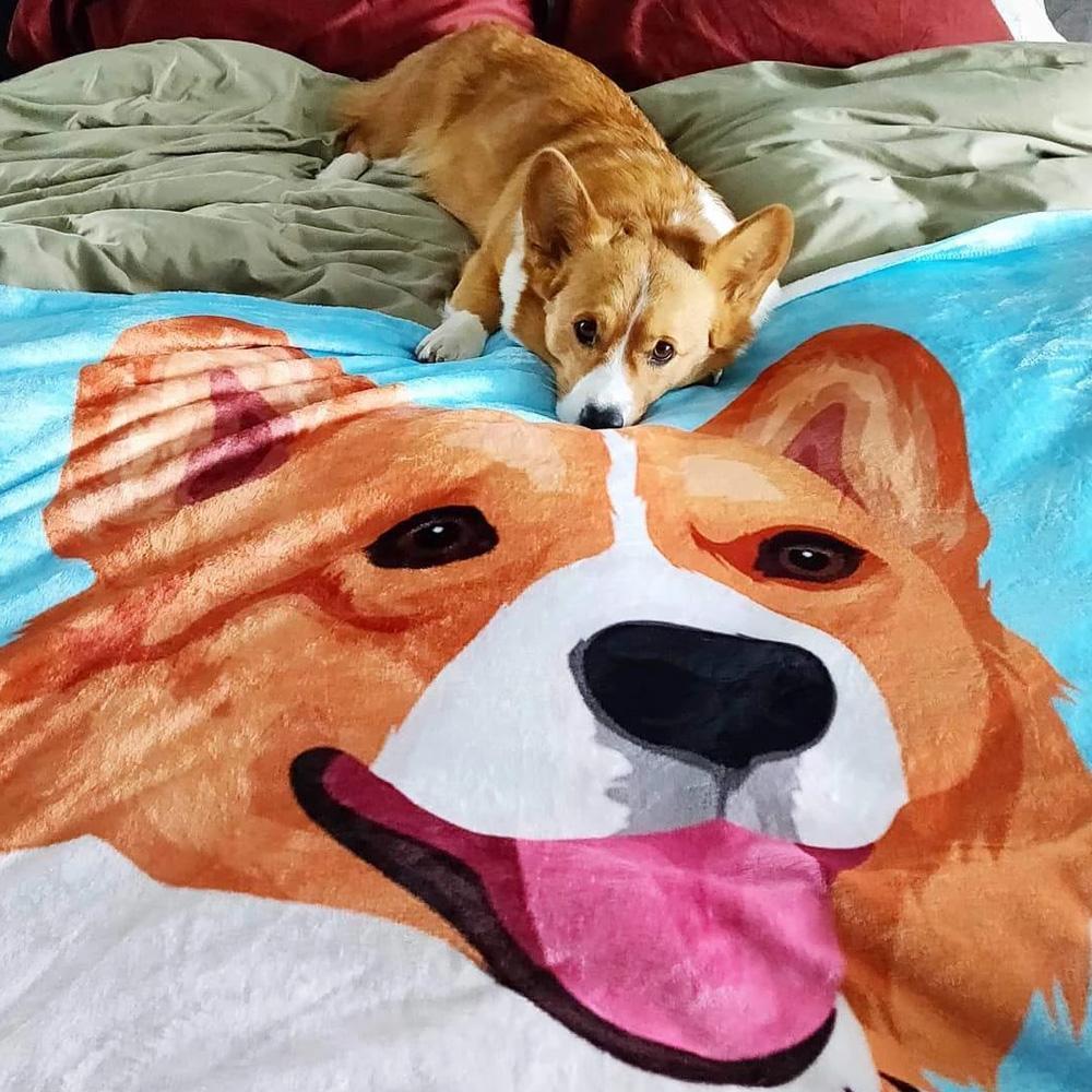 Custom Dog Blankets - Corgi Art Portrait Feelce Throw Blanket Corgi