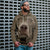 3D Graphic Men's Pullover Hoodie Dog Patterned Dog Hoodies Long Sleeve