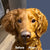 Custom Dog Blankets Personalized Pet Photo Blankets Painted Art Portrait Fleece Blanket