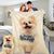 Personalized Pets Dog Photo Fleece Blanket Custom Photo Fleece Blanket Best Gift