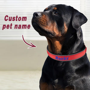 Custom Engraved Pet Collar Nylon Collar Orange-Blue Word