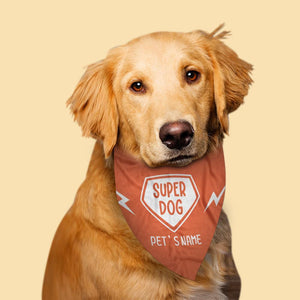 Custom Dog Bandanas With Name Personalised Super Dog Bandanas Gift