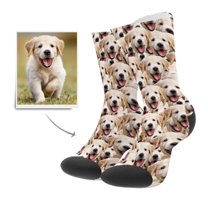 Custom Face Mash Dog Socks With Your Text - MyFaceSocksUK