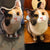 Custom Pet Photo Face Pillow 3D Portrait Pillow - Cute Cat