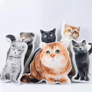 Custom Cats Photo Pillow With Cat's Body OR Face